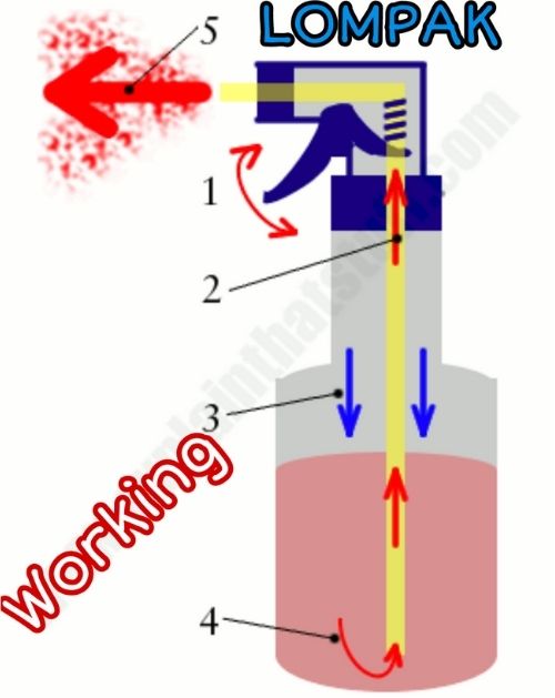 Working of Mini Trigger Spray